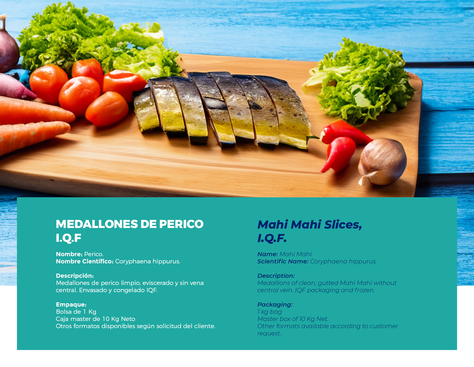 brochure 1